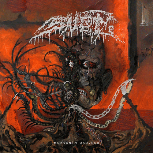 Snet : Mokvání V Okovech